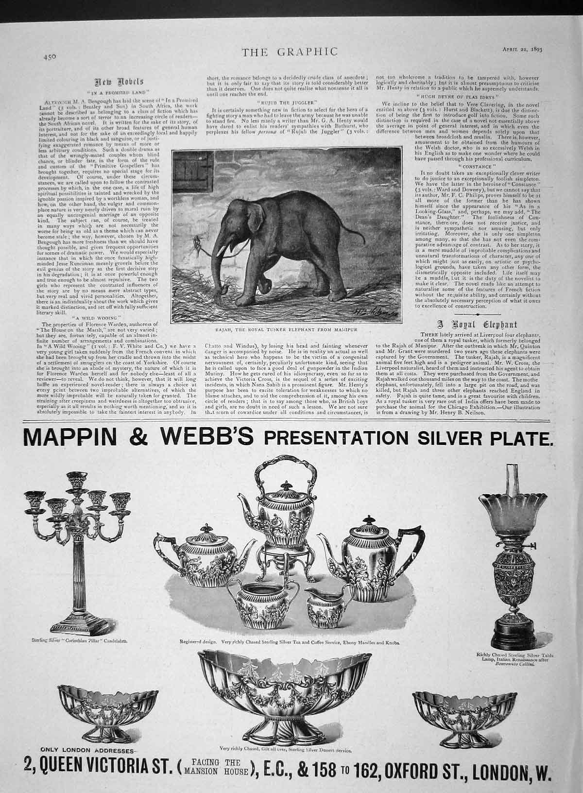 Original Old Antique Print 1893 Rajah Royal Tusker Elephant Manipur Mappin Webb