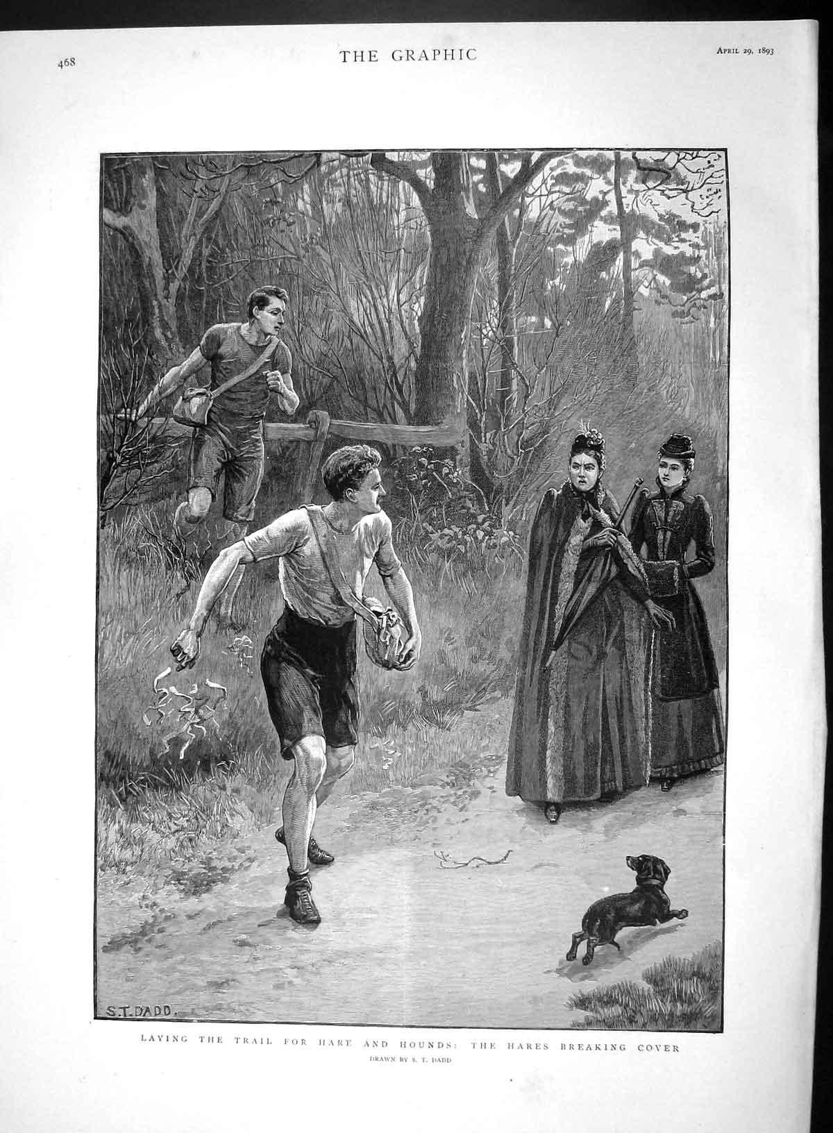 Original Old Antique Print 1893 Hares Hunting Man Laying Trail Hounds Sp 19th