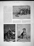 Original Old Antique Print 1893 Art Exhibition Percy Macquoid Dogs Intermezzo