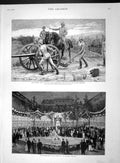 Original Old Antique Print 1893 Horse Army Gardens Imperial Institute Victorian