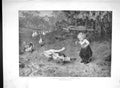 Original Old Antique Print 1893 Little Girl Farmyard Geese Bird 19th