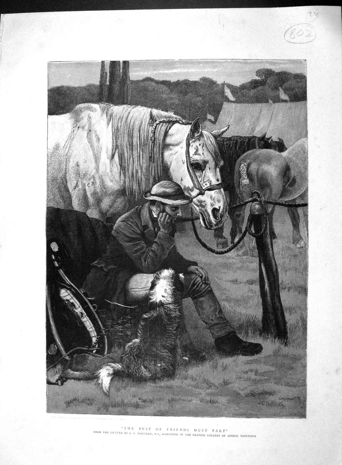 Original Old Antique Print 1893 Best Friends Must Part Man Shire Horse Dog 19th