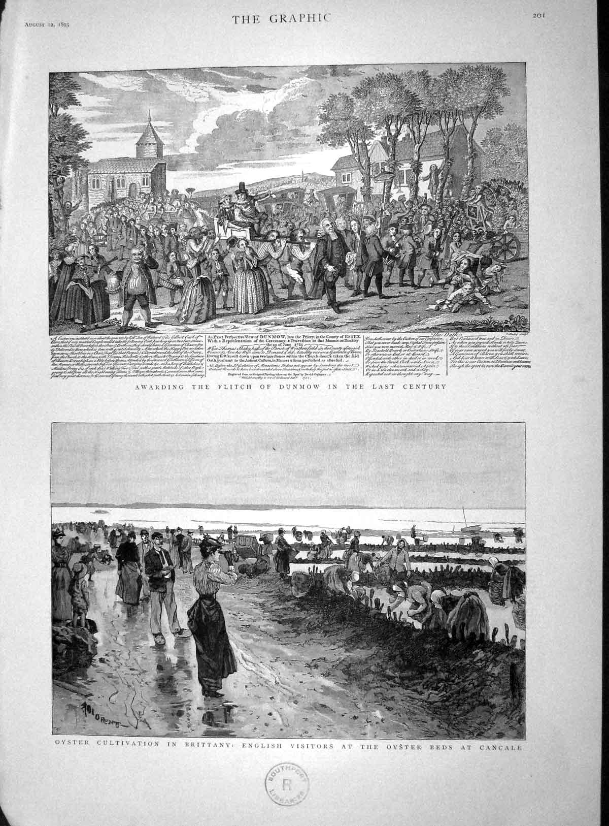 Original Old Antique Print 1893 Oyster Cultivation Brittany Cancale Flitch 19th