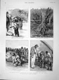 Old Antique Print 1893 Gerald Portal Uganda Elephant Rhinoceros Animals 19th