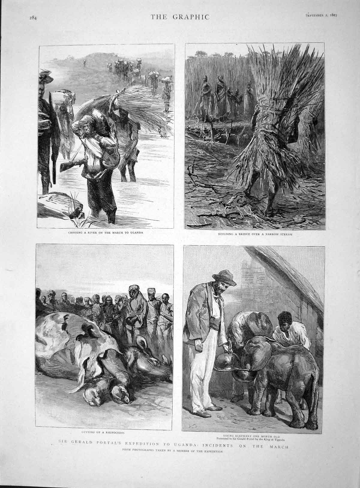 Old Antique Print 1893 Gerald Portal Uganda Elephant Rhinoceros Animals 19th