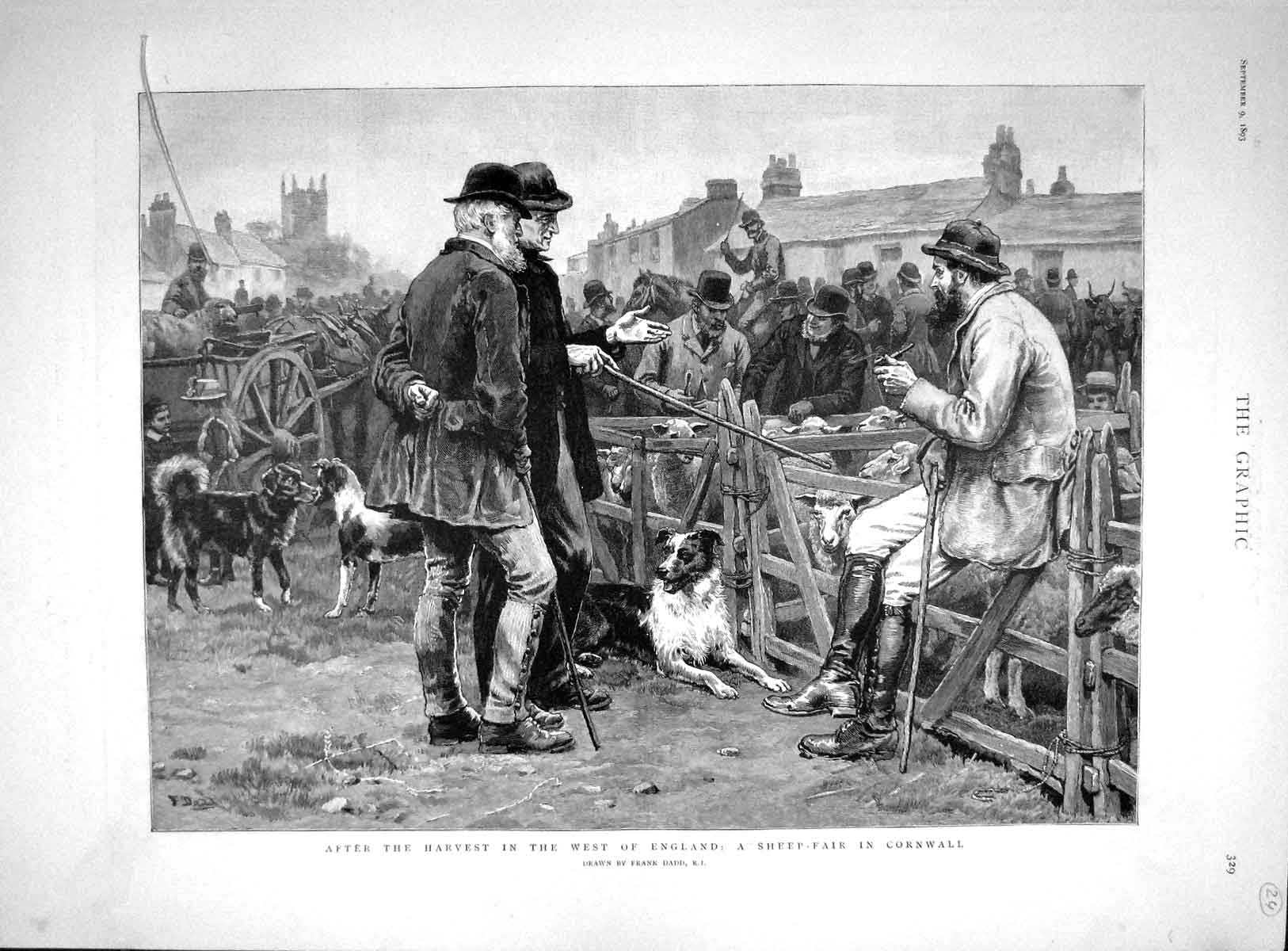 Original Old Antique Print 1893 Harvest West England Sheep Fair Cornwall Dogs