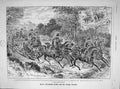 Old Antique Print 1893 Advertisement Elliman Embrocation Slough England 19th