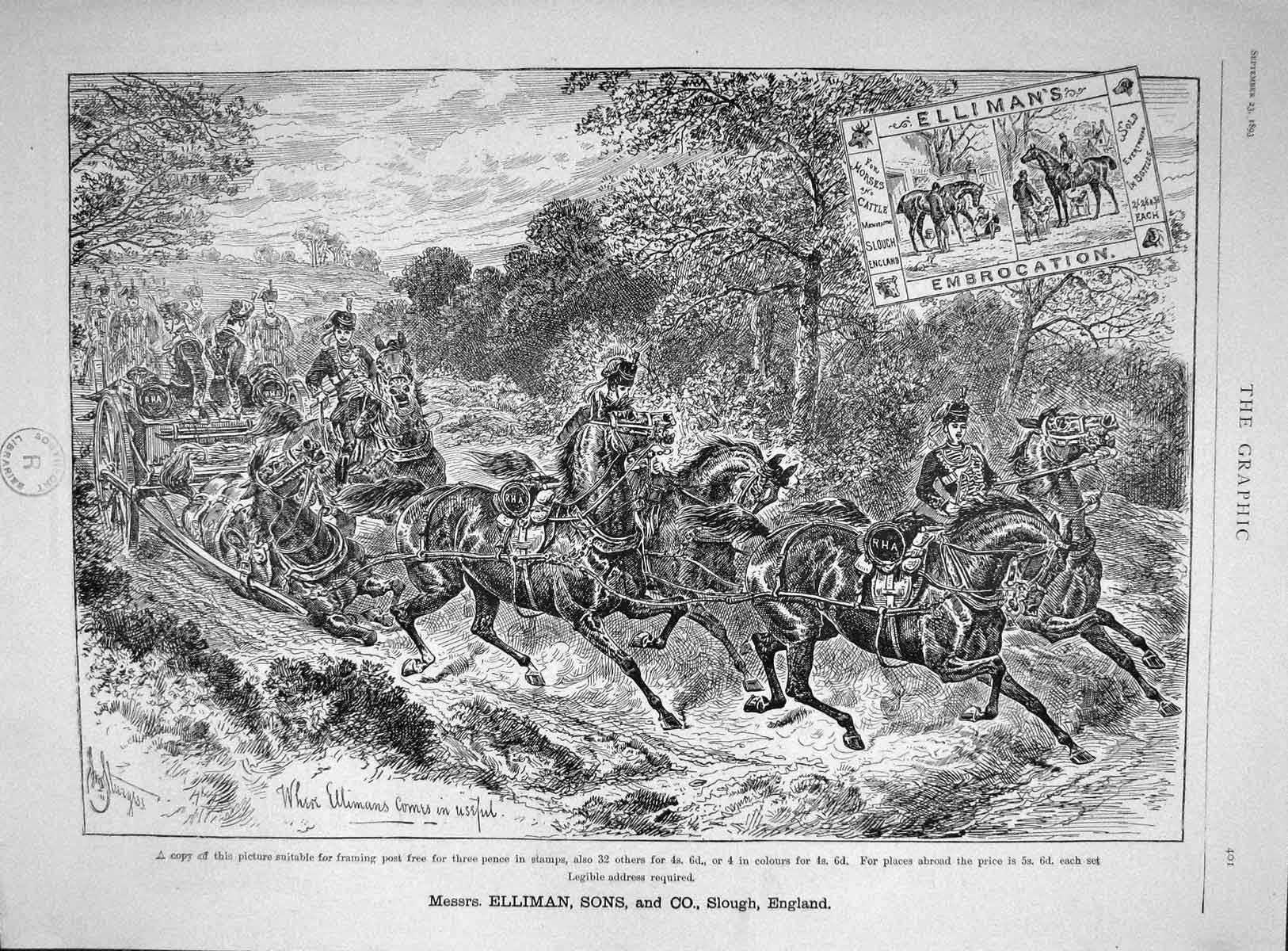 Old Antique Print 1893 Advertisement Elliman Embrocation Slough England 19th