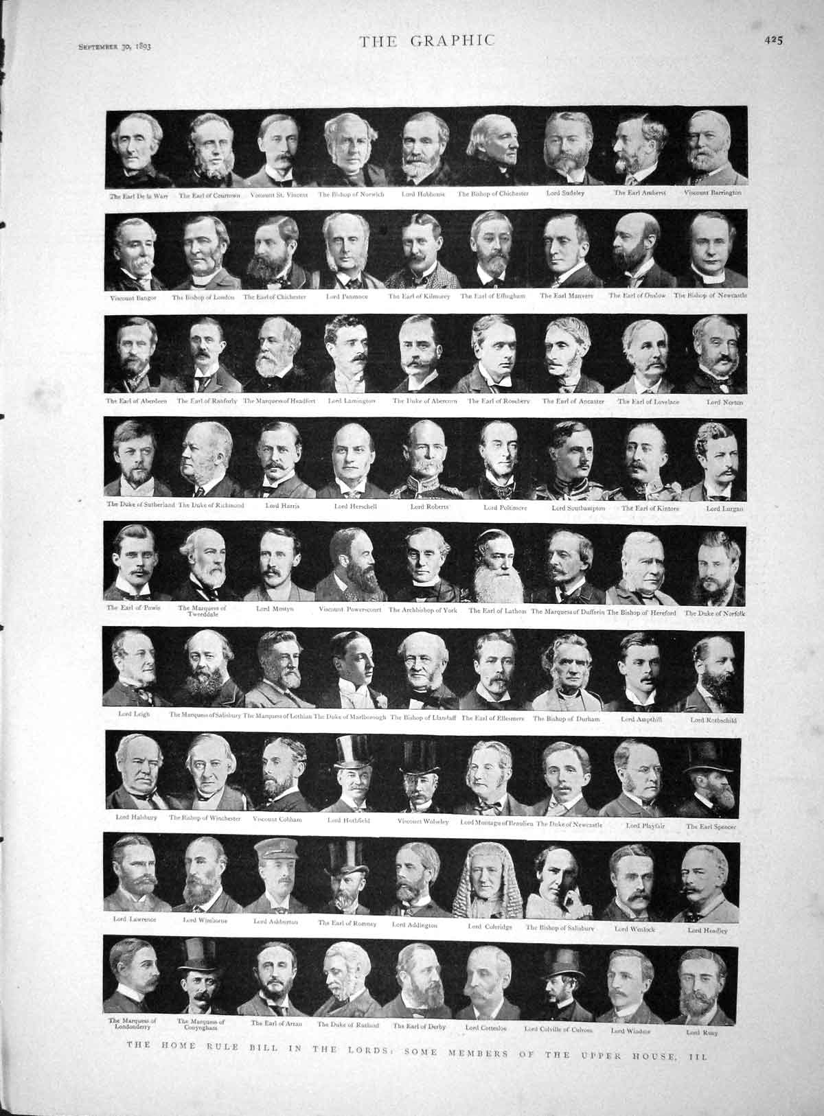 Old Antique Print 1893 Home Rule Bill Lords Upper House Lord Earl Bishop 19th