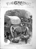 Old Antique Print 1893 Travel Africa Black Rhinoceros Griqua Hunter Bubye 19th