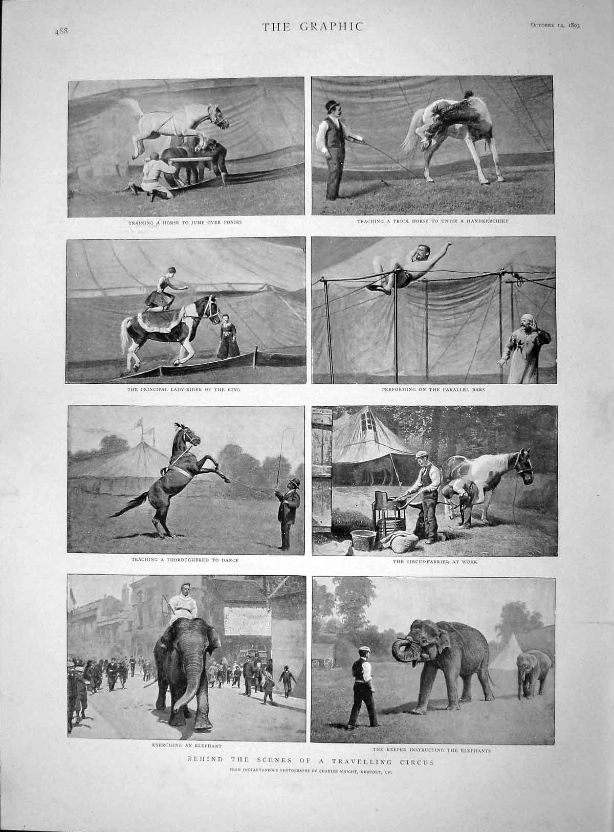 Original Old Antique Print 1893 Travelling Circus Elephants Horse Parallel Bars