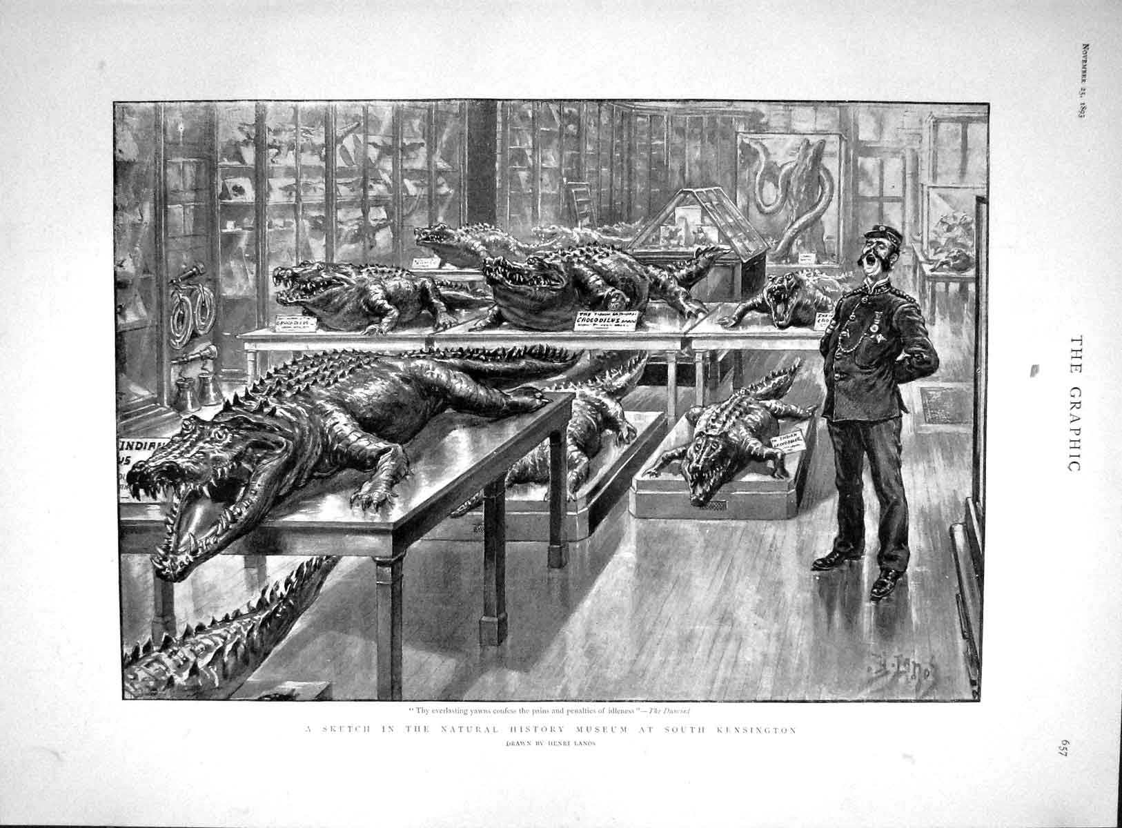 Original Old Antique Print 1893 Natural History Museum Kensington Cro Victorian