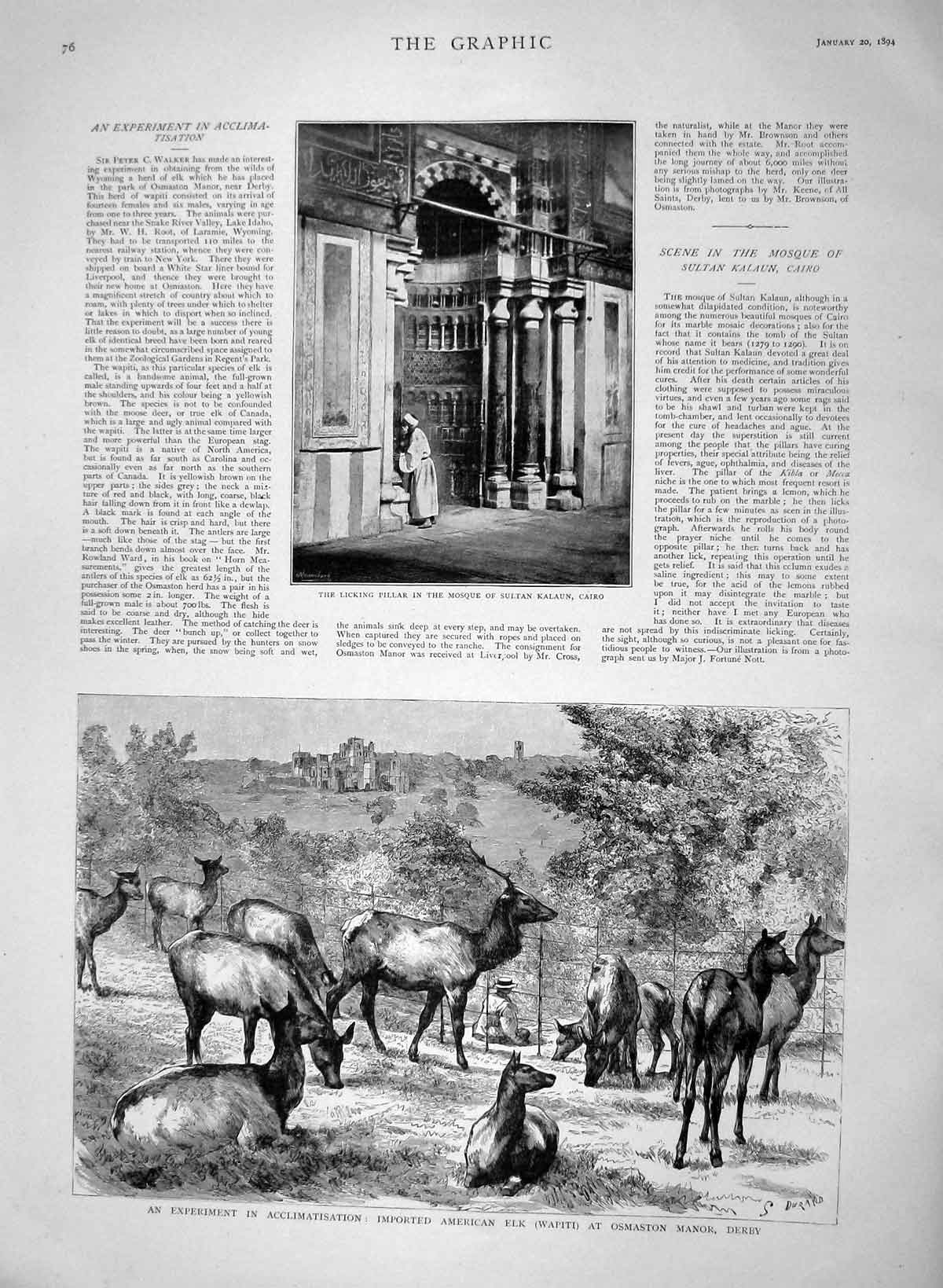 Original Old Antique Print 1894 Licking Mosque Sultan Kalaun Cairo Elk Derby