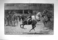 Old Antique Print 1894 View Sydney Harbour Tenge Mountains Java Smeroe 19th