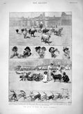 Original Old Antique Print 1894 Mountain Goats Rome Milking Animals Ita 19th