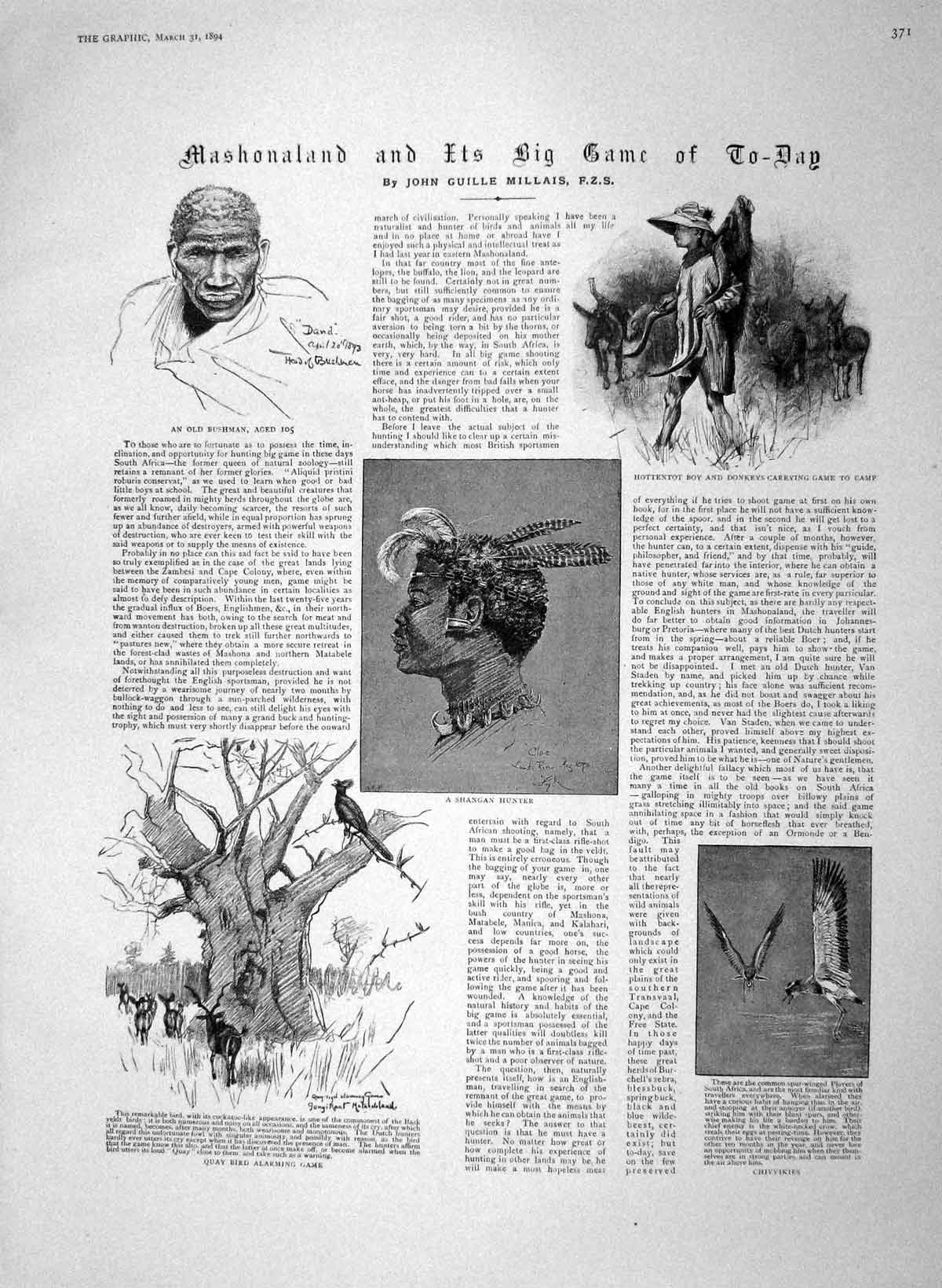 Original Old Antique Print 1894 Mashonaland Bushman Shangan Hunting Koodoo Fish