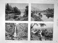 Original Old Antique Print 1894 New Zealand River Pelorus Nelson Ferntown Falls
