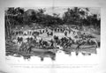 Antique Old Print 1894 Wedding Duke Hesse-Darmstadt Princess Melita Gotha 19th
