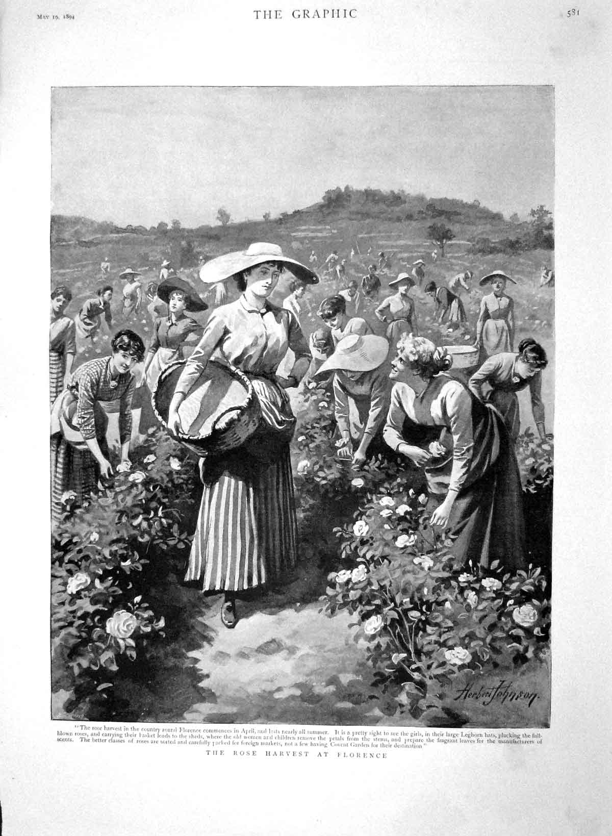 Original Old Antique Print 1894 Rose Flower Market Florence Leghorn Italy 19th