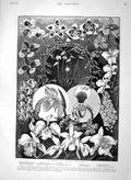 Original Old Antique Print 1894 Orchids Flowers Army Gymnastic School Aldershot