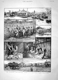 Original Old Antique Print 1894 Australia Wool Industry Sheep Farm Shearing