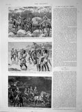 Original Old Antique Print 1894 Matabele War Tancred Maxim Gun Cook Island 19th