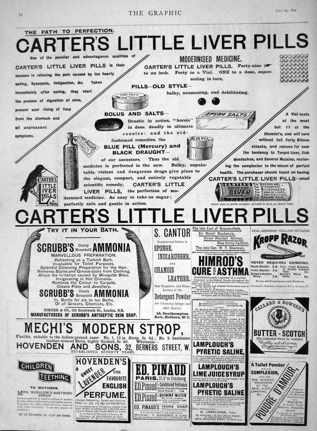 Original Old Antique Print 1894 Advertisement Carter'S Little Liver Pills Kropp