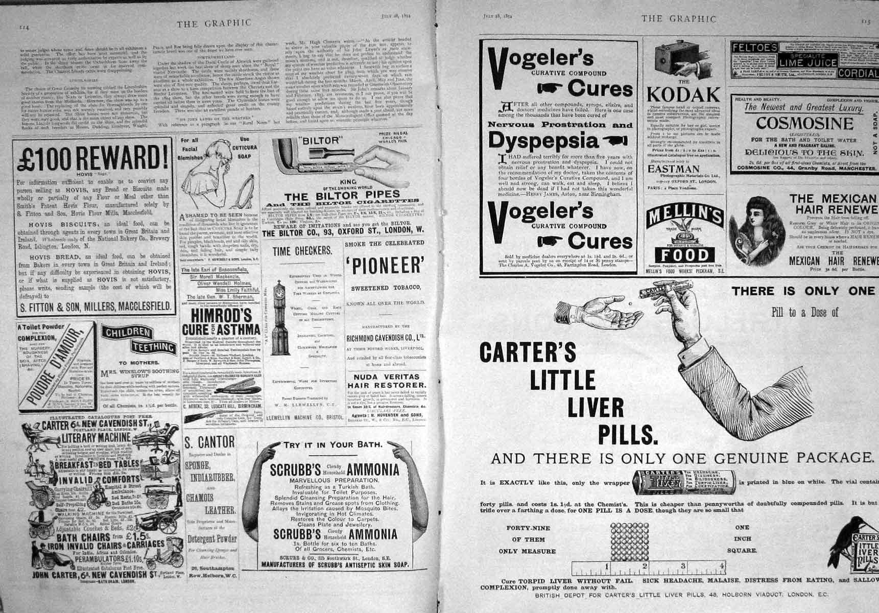 Old Antique Print 1894 Adverisement Carter Pills Kodak Scrubbs Ammonia 19th