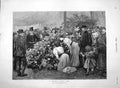 Old Antique Print *3980 1894 Country Flower Show Arthur Hopkins Fine Art