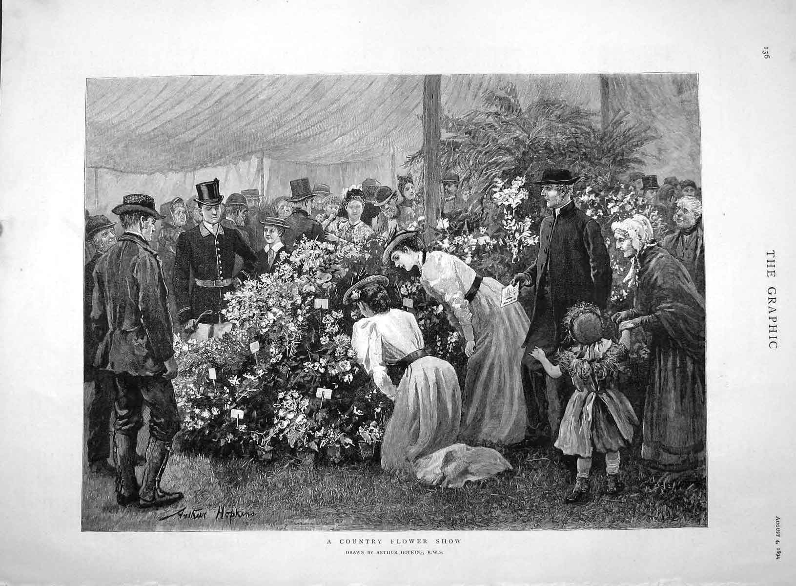 Old Antique Print *3980 1894 Country Flower Show Arthur Hopkins Fine Art