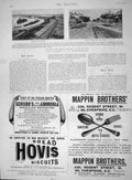 Old Antique Print 1894 Beira Railway Mashonaland Mappin Webb Hovis Bread 19th