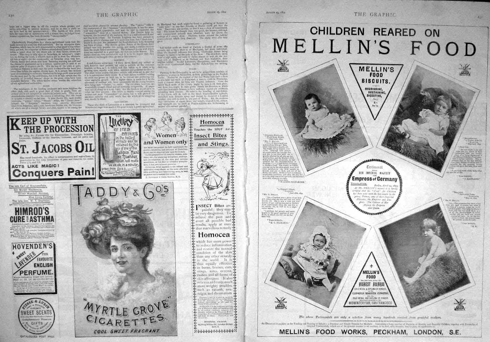 Old Antique Print 1894 Advertisement Mellin'S Children Food Cigarettes 19th