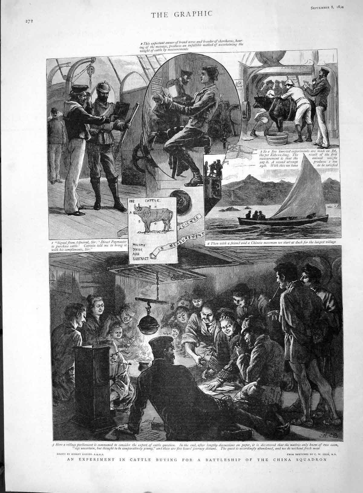 Original Old Antique Print 1894 Export Cattle Buying Battleship China S 19th