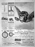 Old Antique Print 1894 Advertisement Brooke'S Monkey Brand Soap Bennett 19th