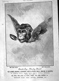 Original Old Antique Print 1894 Advertisement Brooke'S Monkey Brand Soap 19th