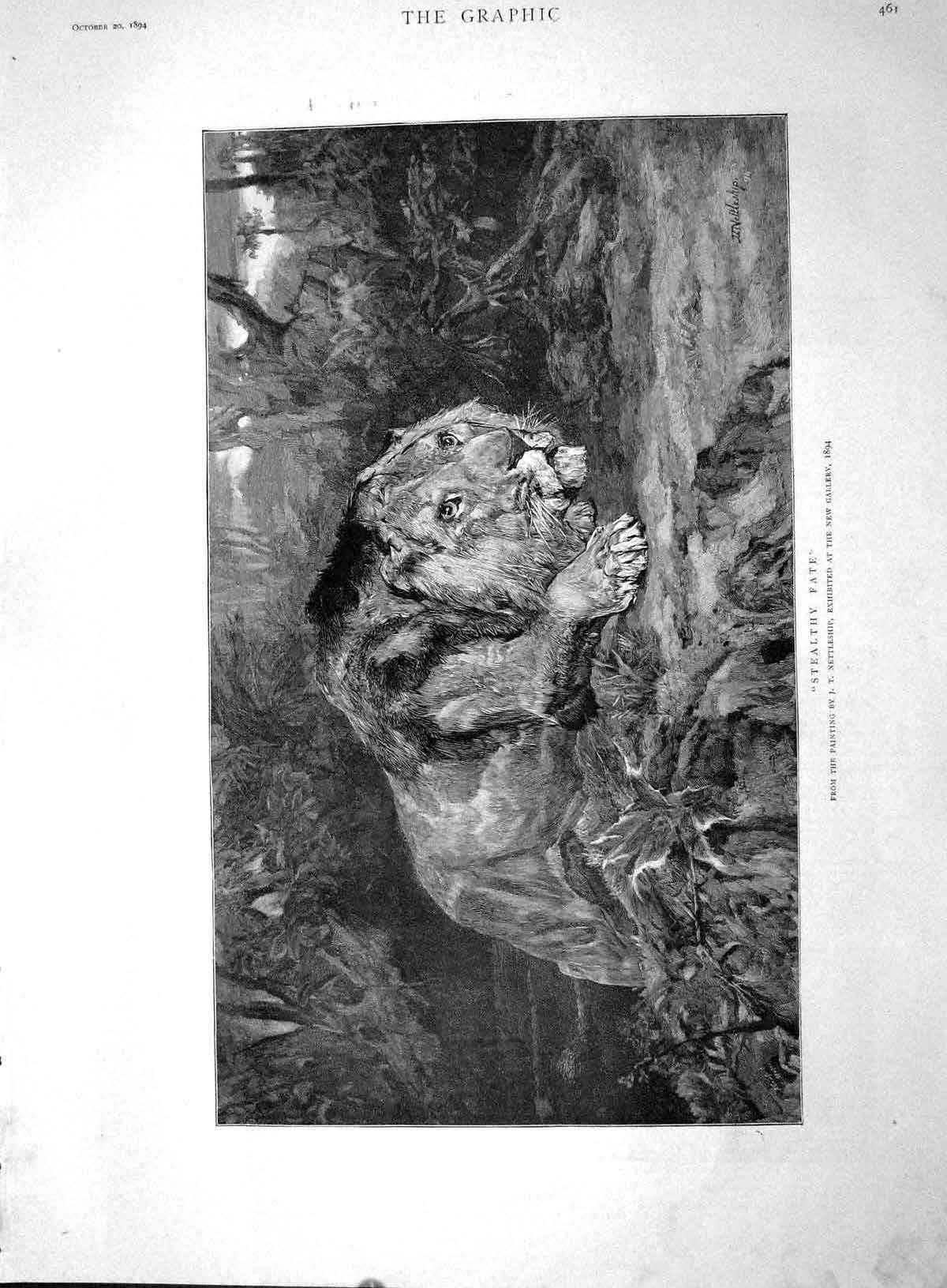 Original Old Antique Print 1894 Stealthy Fate Lion Hunting Wild Animal Fine Art