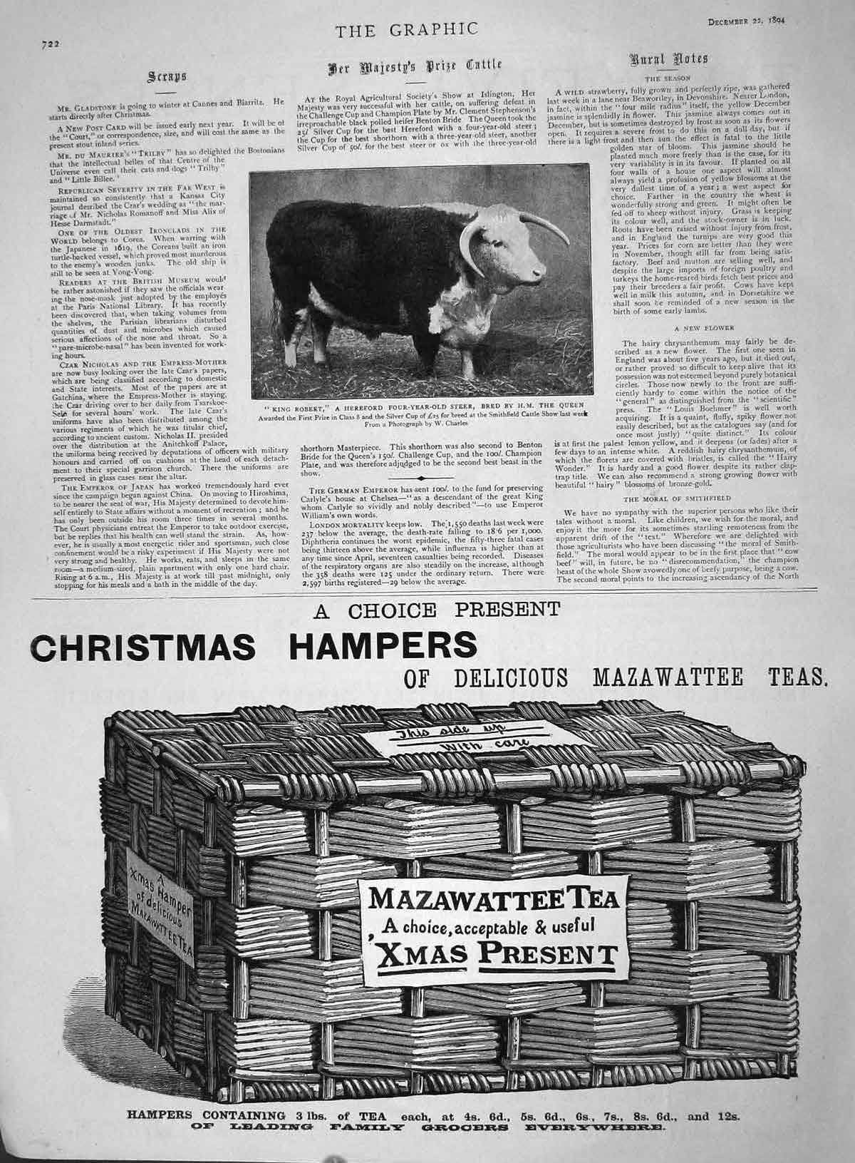 Original Old Antique Print 1894 King Robert Hereford Steer Queen Mazawatt 19th