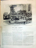 Old 1895 Lady Nobody Maartens Court England Australia Cricket Stoddar Victorian