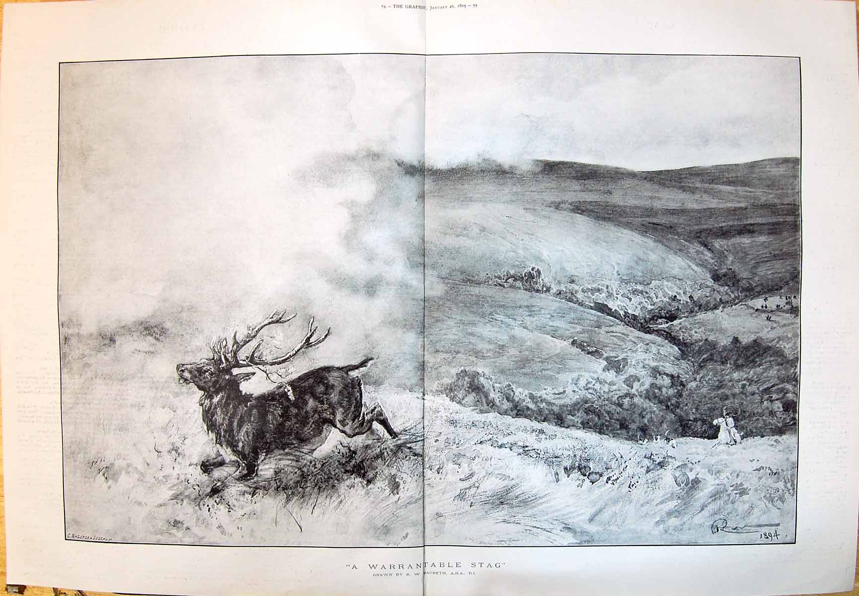 Old 1895 Warrantable Stag Macbeth Deer Hunting Horse Rrider Dogs Spor 0 19th