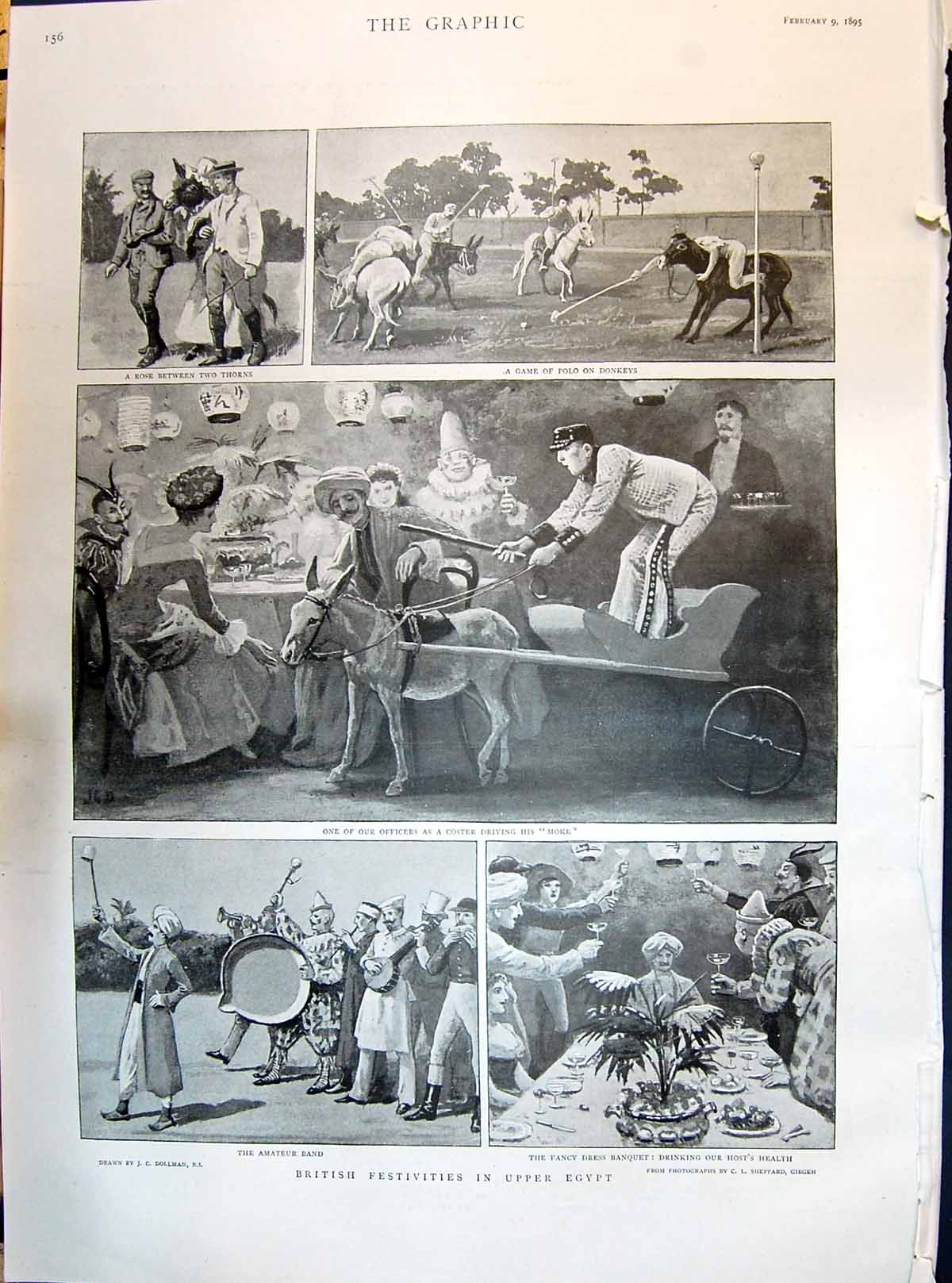 Old 1895 Polo Donkeys Moke British Entertainment Egypt War Coolies Pa Victorian
