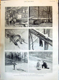 Old 1895 Fishing Backwoods Turner Rocky Mountains Kootway Black Bear Victorian