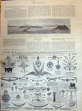 Antique Print 1895 Japanese War Vessel Chokai Kwan Near Port Arthur Diamond