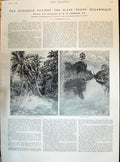 Old 1895 Mocambique Mosuril River Scene British Consulate Town View J Victorian