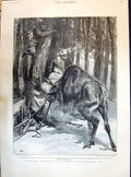Old 1895 A Squatter'S Adventure Moose Attack Hampshire Lord Ribblesda Victorian