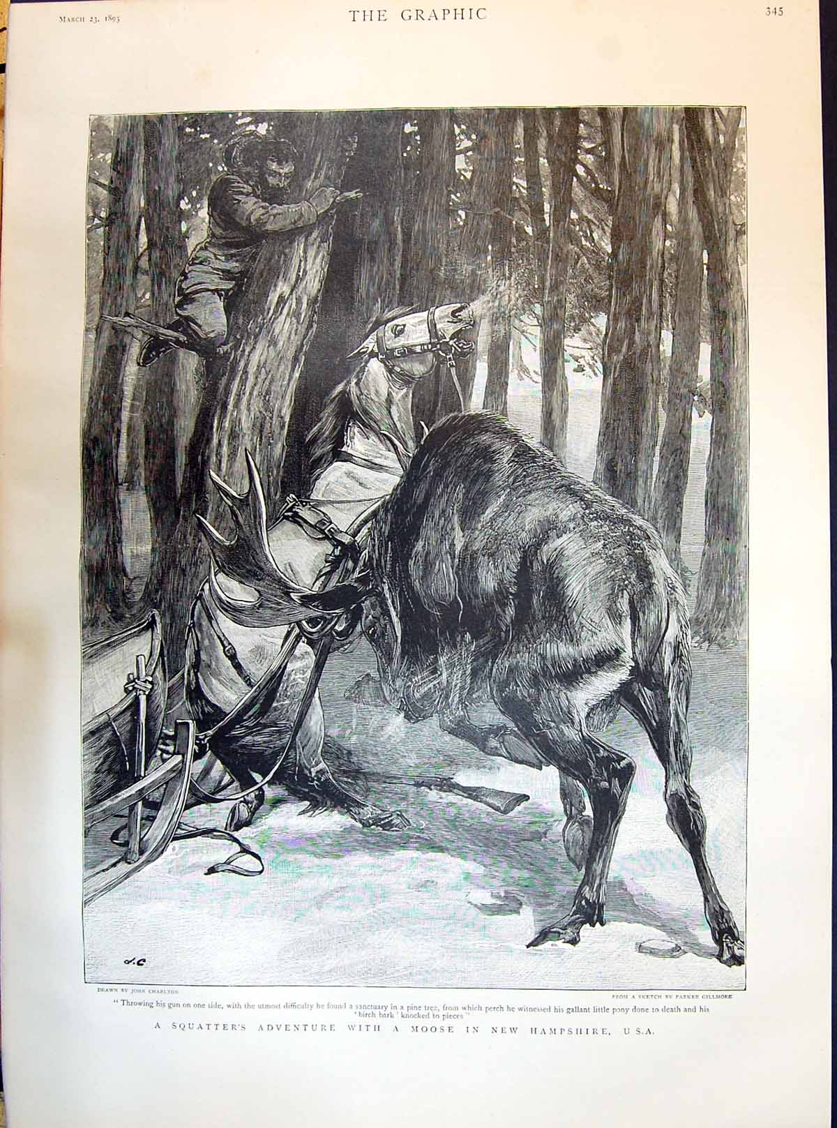 Old 1895 A Squatter'S Adventure Moose Attack Hampshire Lord Ribblesda Victorian