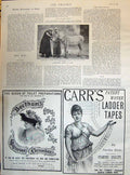 Antique Old Print 1895 Decorated Donkey In Cairo Beetham'S Carr'S Ladder Tape
