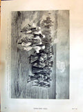 Old 1895 Egypt Procession Dashur Treasures Wundt Barid Campbell Singh Victorian