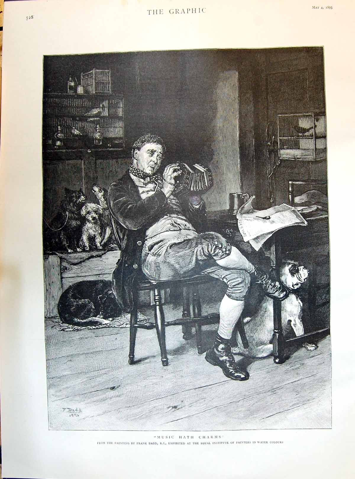 Old Print 1895 Music Hath Charms Man Animals Dogs Indoor Scene Frank Dadd 19th