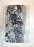 Old 1895 California Sport Rabbit Drive Horses Memorial Throne Norwich Victorian