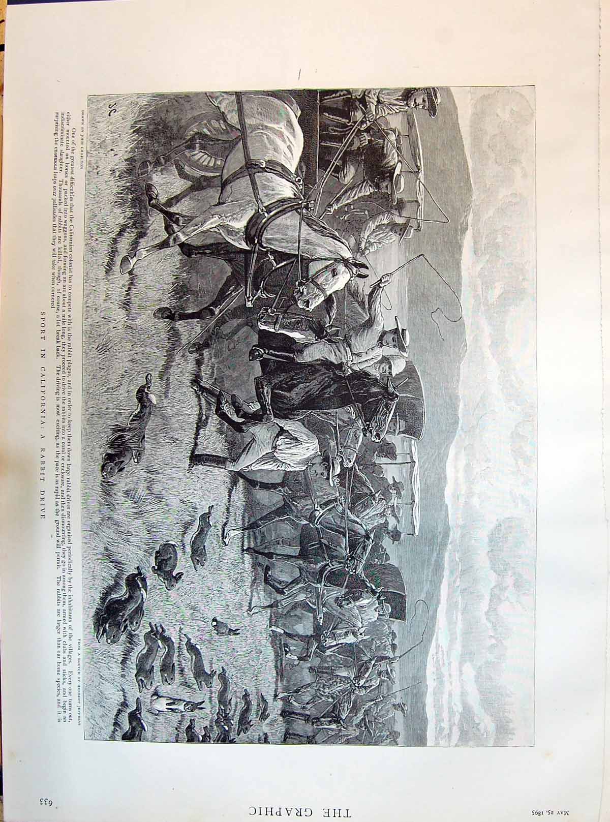 Old 1895 California Sport Rabbit Drive Horses Memorial Throne Norwich Victorian